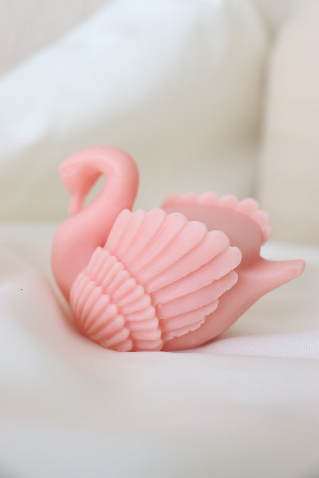 vela cisne