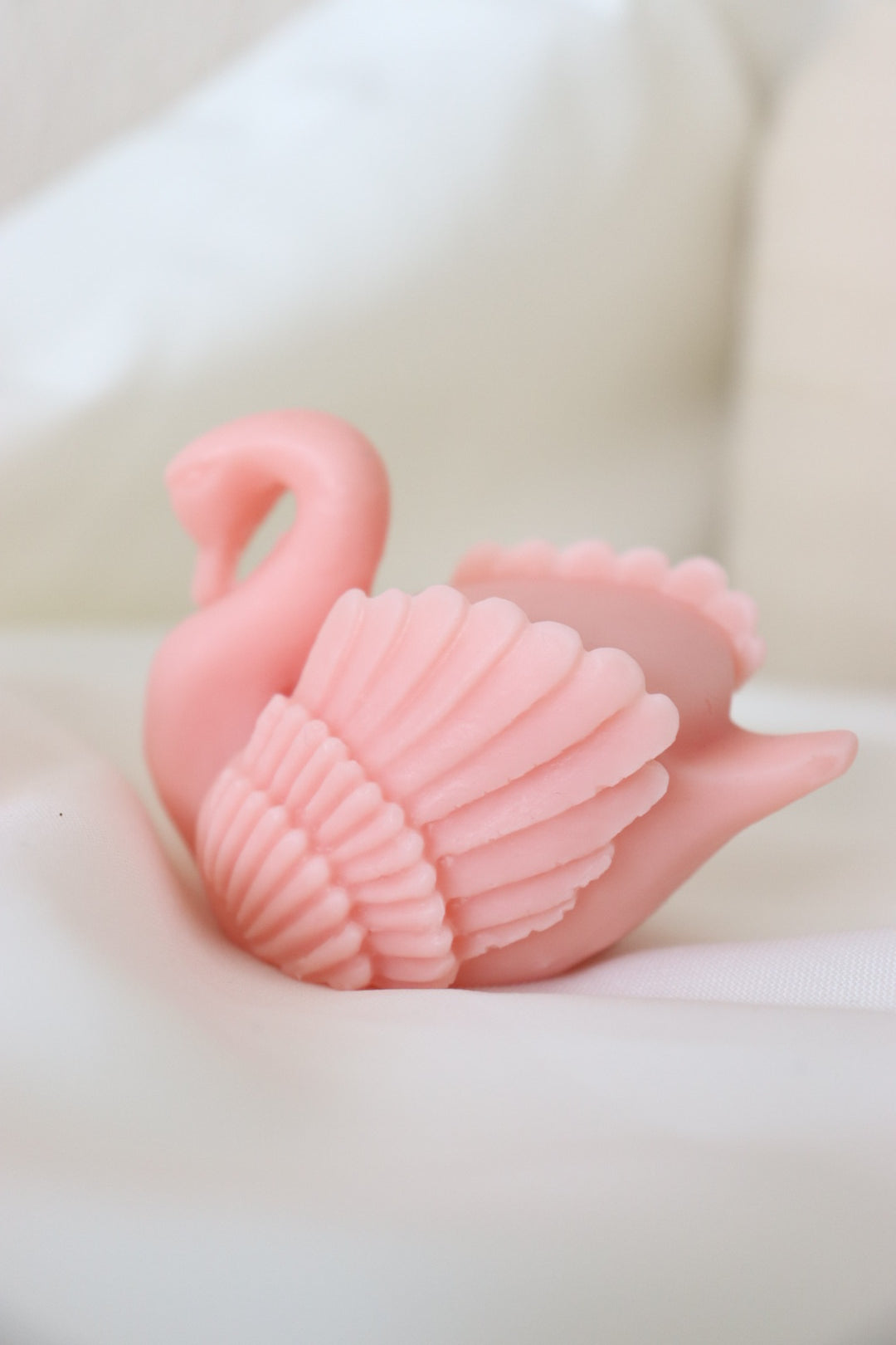 vela cisne