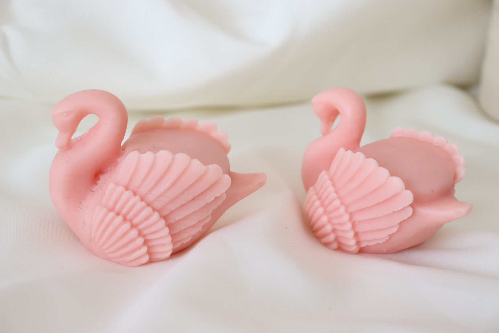 vela cisne
