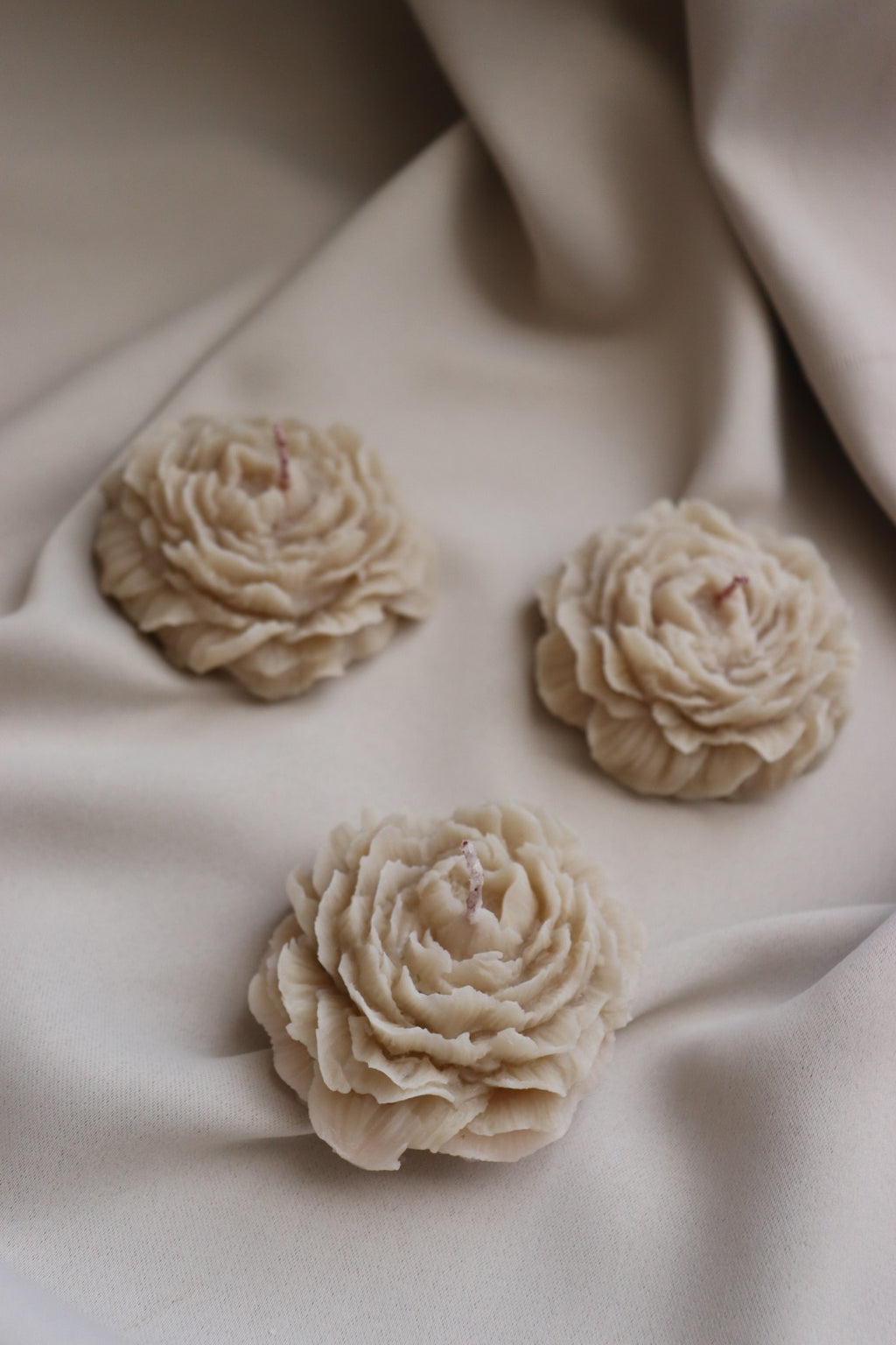 Flor peonia